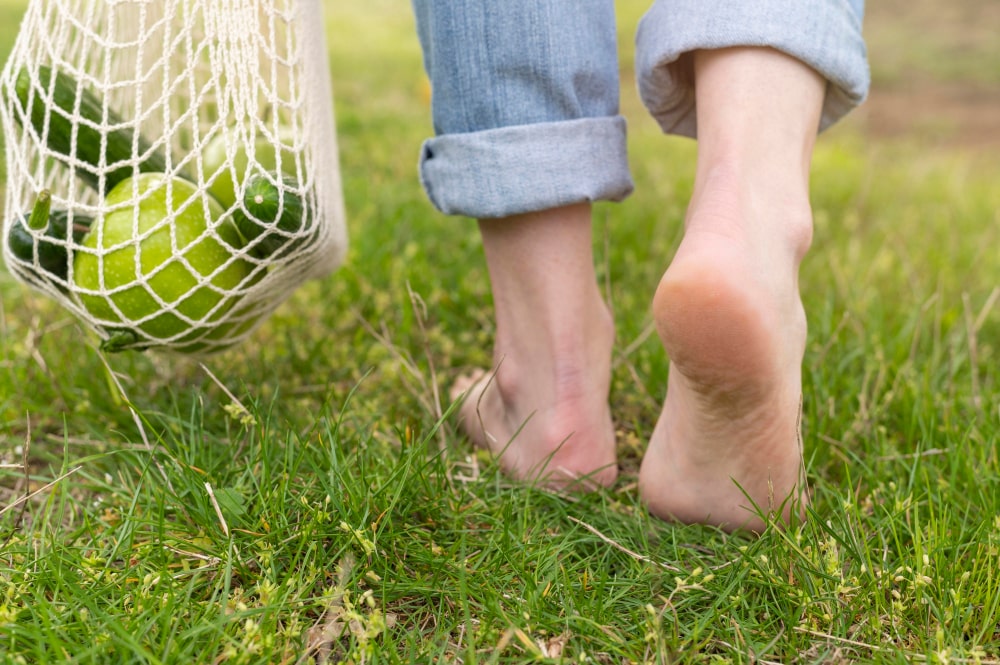 Surprising Benefits of Walking on Wet Grass in the Morning benefits-of-walking-on-wet-grass-in-the-morning